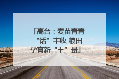 高台：麦苗青青“话”丰收 粮田孕育新“丰”景