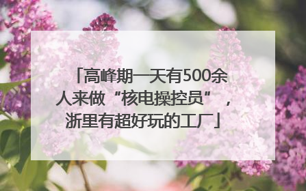 高峰期一天有500余人来做“核电操控员”，浙里有超好玩的工厂