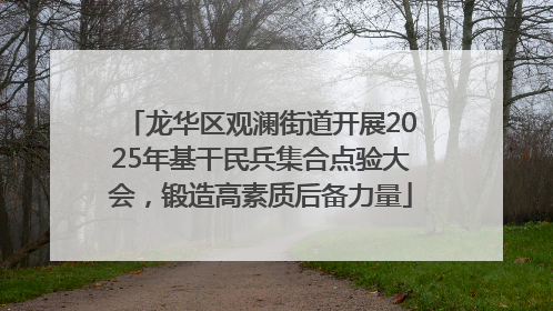 龙华区观澜街道开展2025年基干民兵集合点验大会，锻造高素质后备力量
