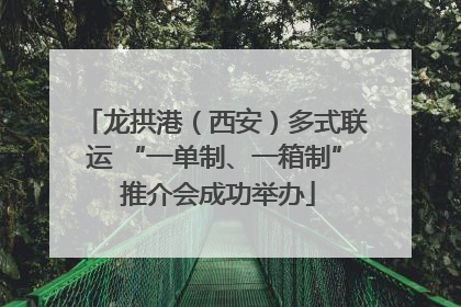 龙拱港（西安）多式联运 “一单制、一箱制” 推介会成功举办