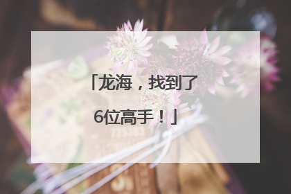 龙海，找到了6位高手！