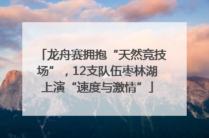 龙舟赛拥抱“天然竞技场”，12支队伍枣林湖上演“速度与激情”