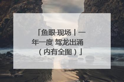 鱼眼·现场丨一年一度 驾龙出涌（内有全图）