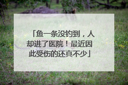 鱼一条没钓到，人却进了医院！最近因此受伤的还真不少
