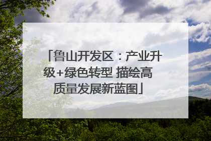 鲁山开发区：产业升级+绿色转型 描绘高质量发展新蓝图