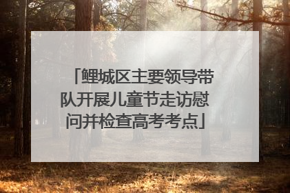 鲤城区主要领导带队开展儿童节走访慰问并检查高考考点