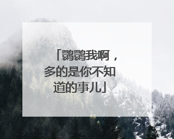 鹮鹮我啊，多的是你不知道的事儿