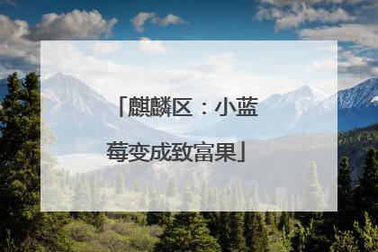 麒麟区：小蓝莓变成致富果
