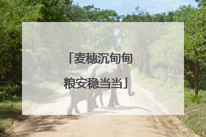 麦穗沉甸甸 粮安稳当当