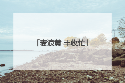 麦浪黄 丰收忙