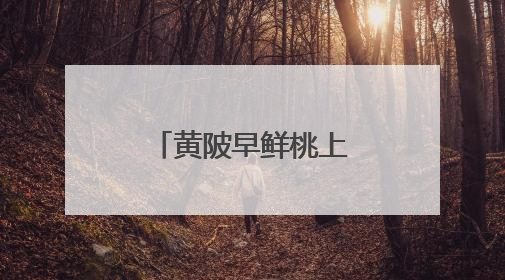 黄陂早鲜桃上市 “桃”气满满迎客来