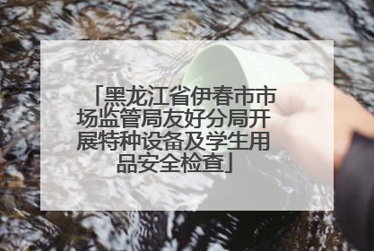 黑龙江省伊春市市场监管局友好分局开展特种设备及学生用品安全检查