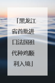 黑龙江省首批进口法国祖代种鸡顺利入境