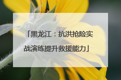 黑龙江：抗洪抢险实战演练提升救援能力
