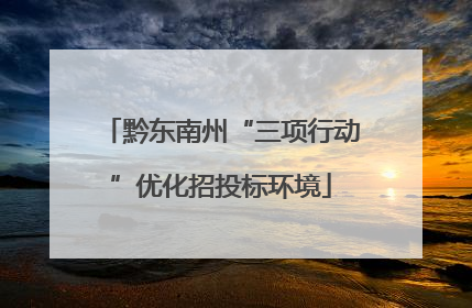黔东南州“三项行动”优化招投标环境