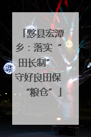 黟县宏潭乡：落实“田长制” 守好良田保“粮仓”