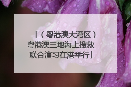 （粤港澳大湾区）粤港澳三地海上搜救联合演习在港举行