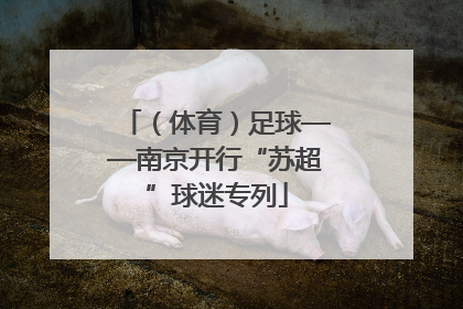 （体育）足球——南京开行“苏超”球迷专列