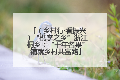 （乡村行·看振兴）“槜李之乡”浙江桐乡：“千年名果”铺就乡村共富路