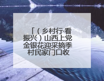 （乡村行·看振兴）山西上党金银花迎采摘季 村民家门口收获“致富花”