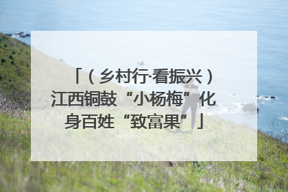（乡村行·看振兴）江西铜鼓“小杨梅”化身百姓“致富果”