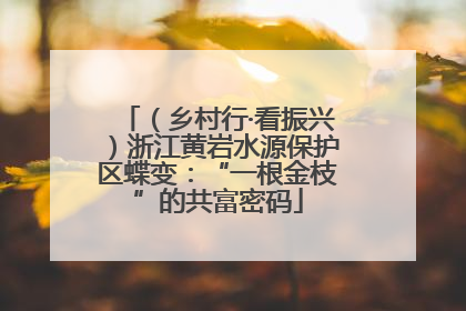 （乡村行·看振兴）浙江黄岩水源保护区蝶变：“一根金枝”的共富密码