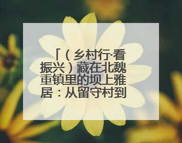 （乡村行·看振兴）藏在北魏重镇里的坝上雅居：从留守村到生态园
