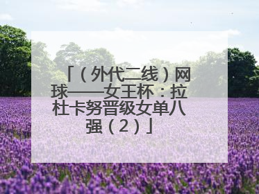 （外代二线）网球——女王杯：拉杜卡努晋级女单八强（2）