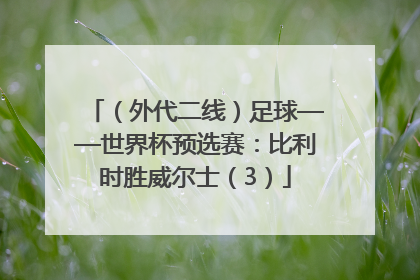 （外代二线）足球——世界杯预选赛：比利时胜威尔士（3）