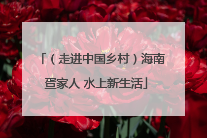 （走进中国乡村）海南疍家人 水上新生活