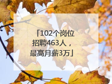 102个岗位招聘463人，最高月薪3万