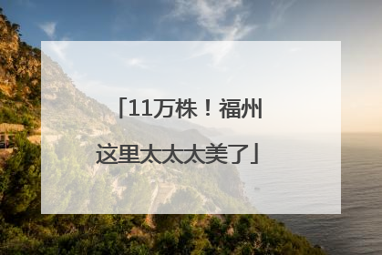 11万株！福州这里太太太美了