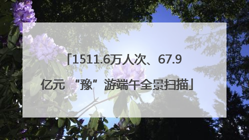 1511.6万人次、67.9亿元 “豫”游端午全景扫描