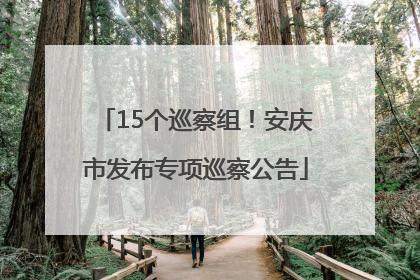 15个巡察组！安庆市发布专项巡察公告