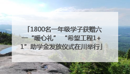 1800名一年级学子获赠六一“暖心礼” “希望工程1+1”助学金发放仪式在川举行