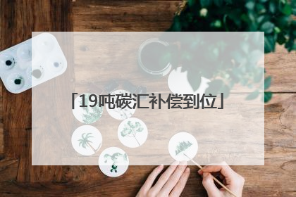 19吨碳汇补偿到位