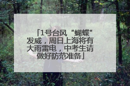 1号台风“蝴蝶”发威，周日上海将有大雨雷电，中考生请做好防范准备