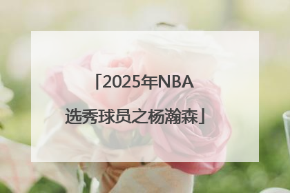 2025年NBA选秀球员之杨瀚森