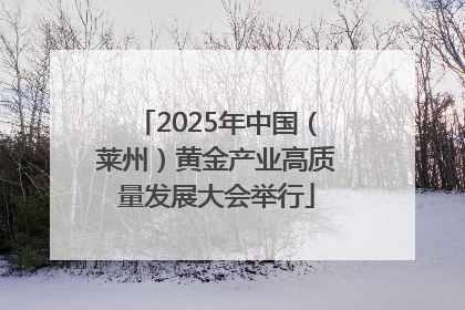 2025年中国（莱州）黄金产业高质量发展大会举行