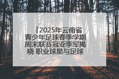 2025年云南省青少年足球春季学期周末联赛冠亚季军揭晓 职业球星与足球小将共享荣耀时刻