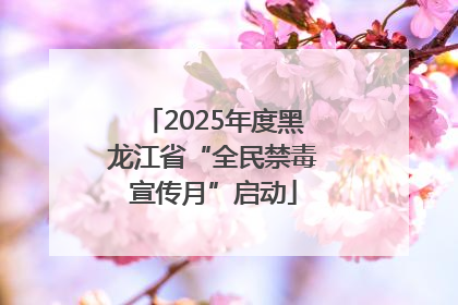 2025年度黑龙江省“全民禁毒宣传月”启动