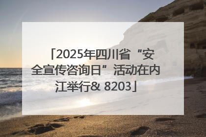 2025年四川省“安全宣传咨询日”活动在内江举行& 8203