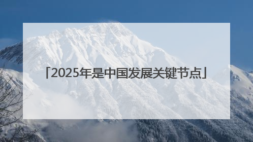 2025年是中国发展关键节点