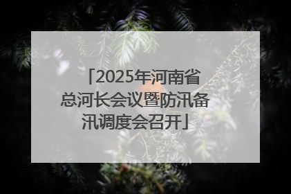2025年河南省总河长会议暨防汛备汛调度会召开