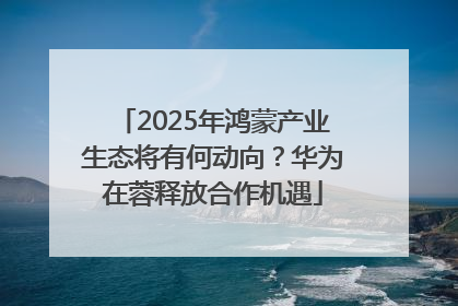 2025年鸿蒙产业生态将有何动向？华为在蓉释放合作机遇