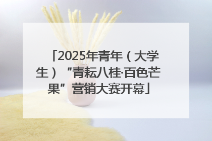 2025年青年（大学生）“青耘八桂·百色芒果”营销大赛开幕