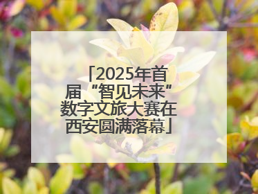 2025年首届“智见未来”数字文旅大赛在西安圆满落幕