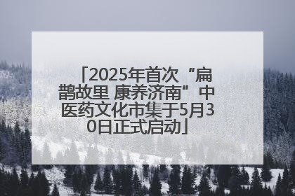 2025年首次“扁鹊故里 康养济南”中医药文化市集于5月30日正式启动