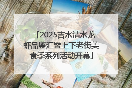 2025吉水清水龙虾品鉴汇暨上下老街美食季系列活动开幕