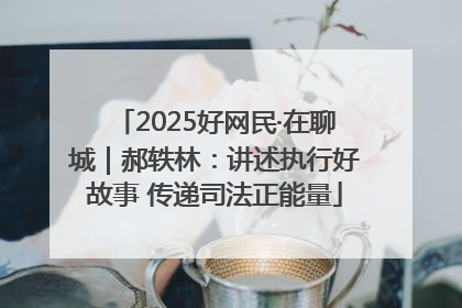 2025好网民·在聊城｜郝轶林：讲述执行好故事 传递司法正能量